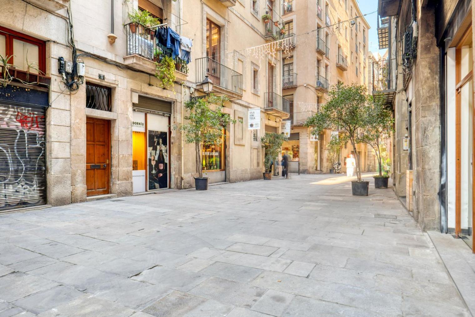 Apartment Renovated El Born 2br Nr Port Vell Bcn-59 *